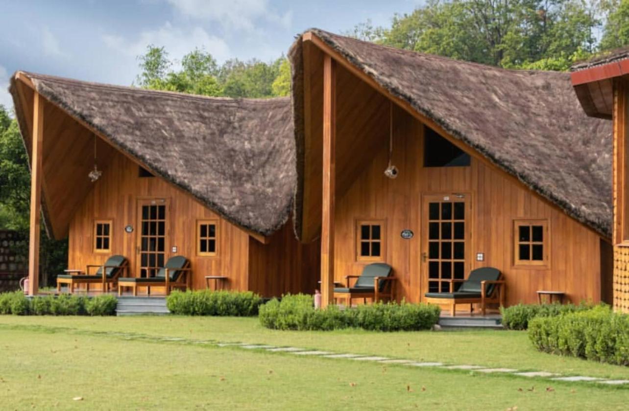 Glenville Forest & Dehradun